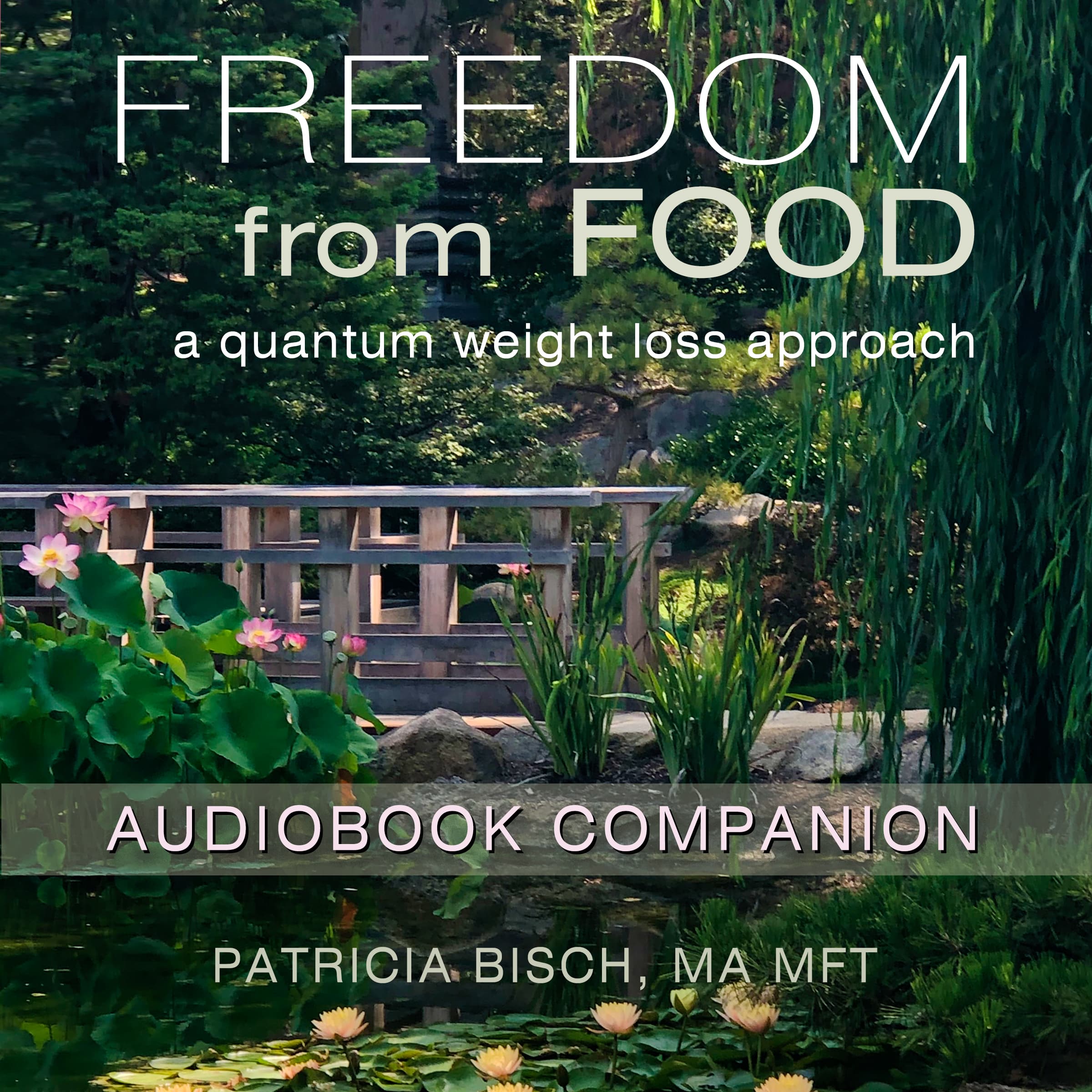 FFF Audiobook Companion Cover