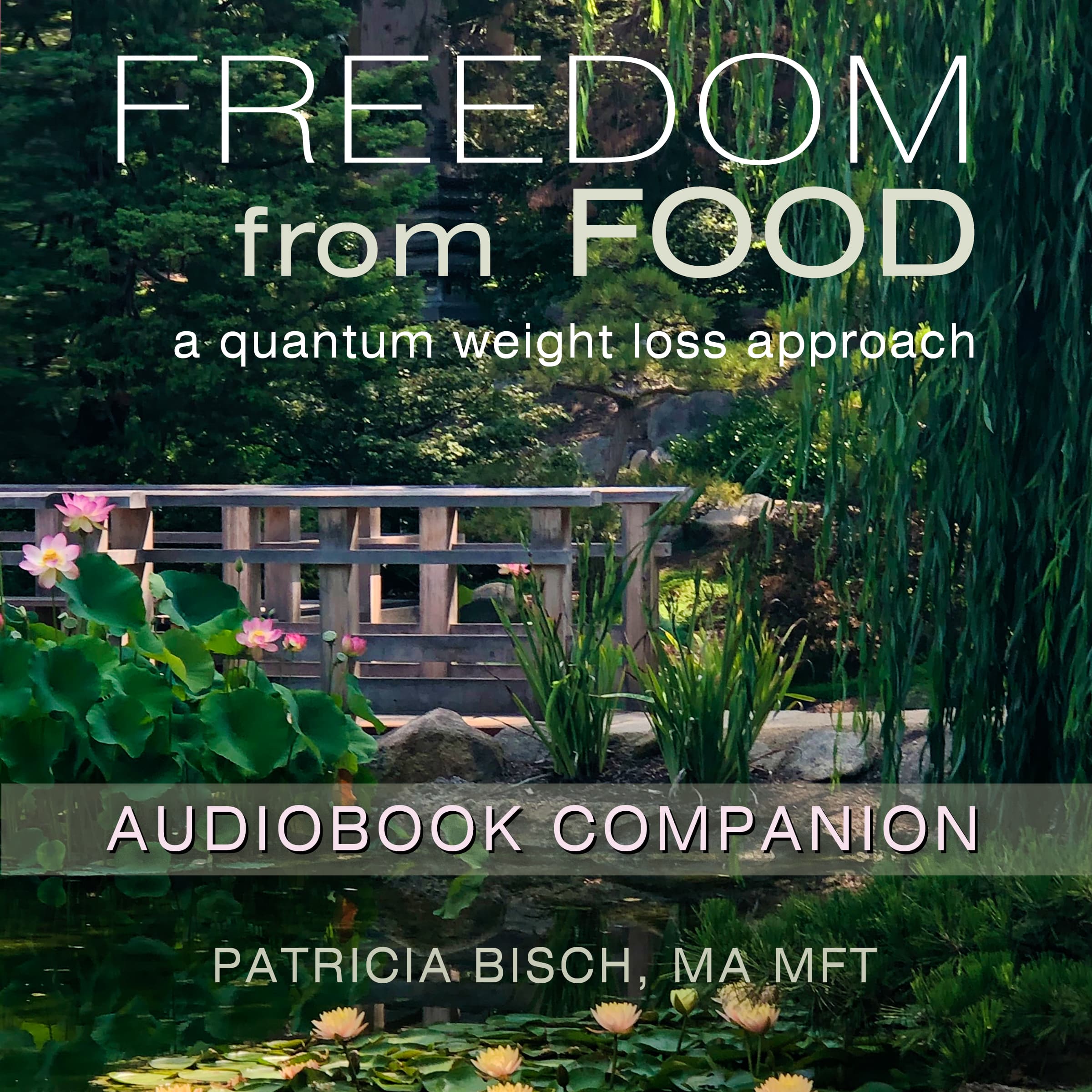 FFF Audiobook Companion Cover FFF Audiobook Companion Cover