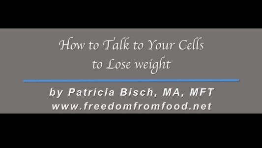 How to Talk to Your Cells Patricia Bisch How to Talk to Your Cells to Lose Weight